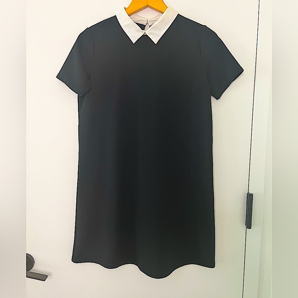 Zara Peter Pan collar black dress (women size M)